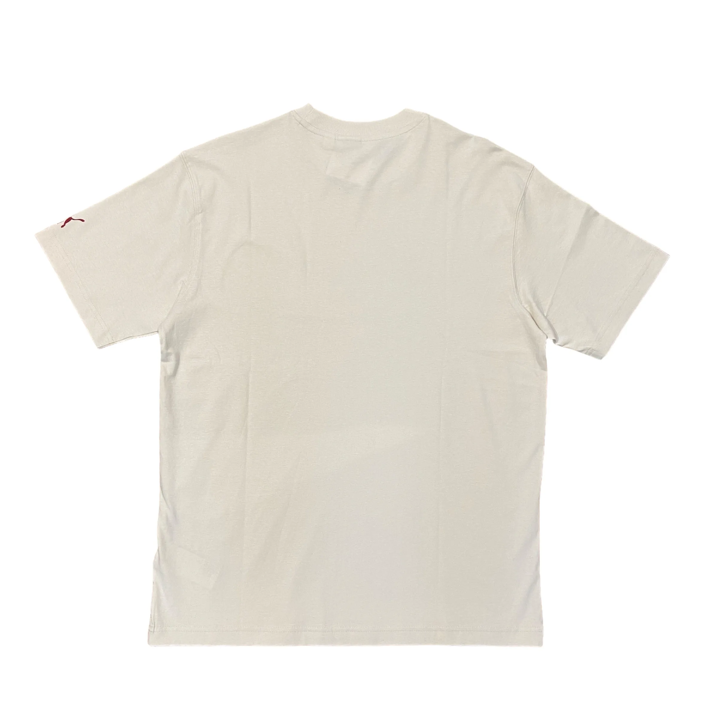 Puma TEAM FOR THE FANBASE TEE Men’s -ALPINE SNOW